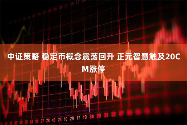 中证策略 稳定币概念震荡回升 正元智慧触及20CM涨停