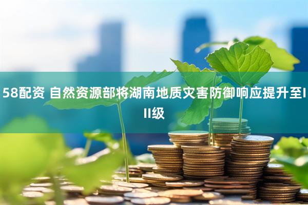 58配资 自然资源部将湖南地质灾害防御响应提升至III级
