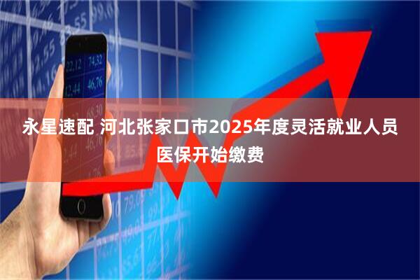 永星速配 河北张家口市2025年度灵活就业人员医保开始缴费