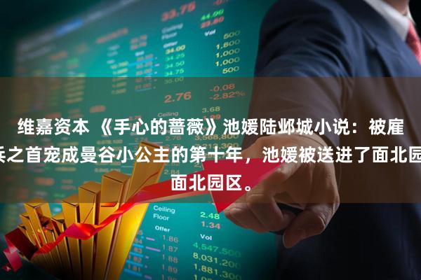 维嘉资本 《手心的蔷薇》池媛陆邺城小说：被雇佣兵之首宠成曼谷小公主的第十年，池媛被送进了面北园区。